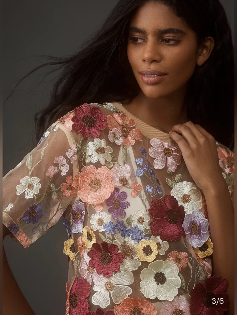 Anthropologie Dolan left coast flower appliqué sheer top